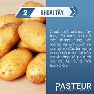 Pasteur Việt Nam 8