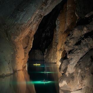 Oxalis Company Limited 9