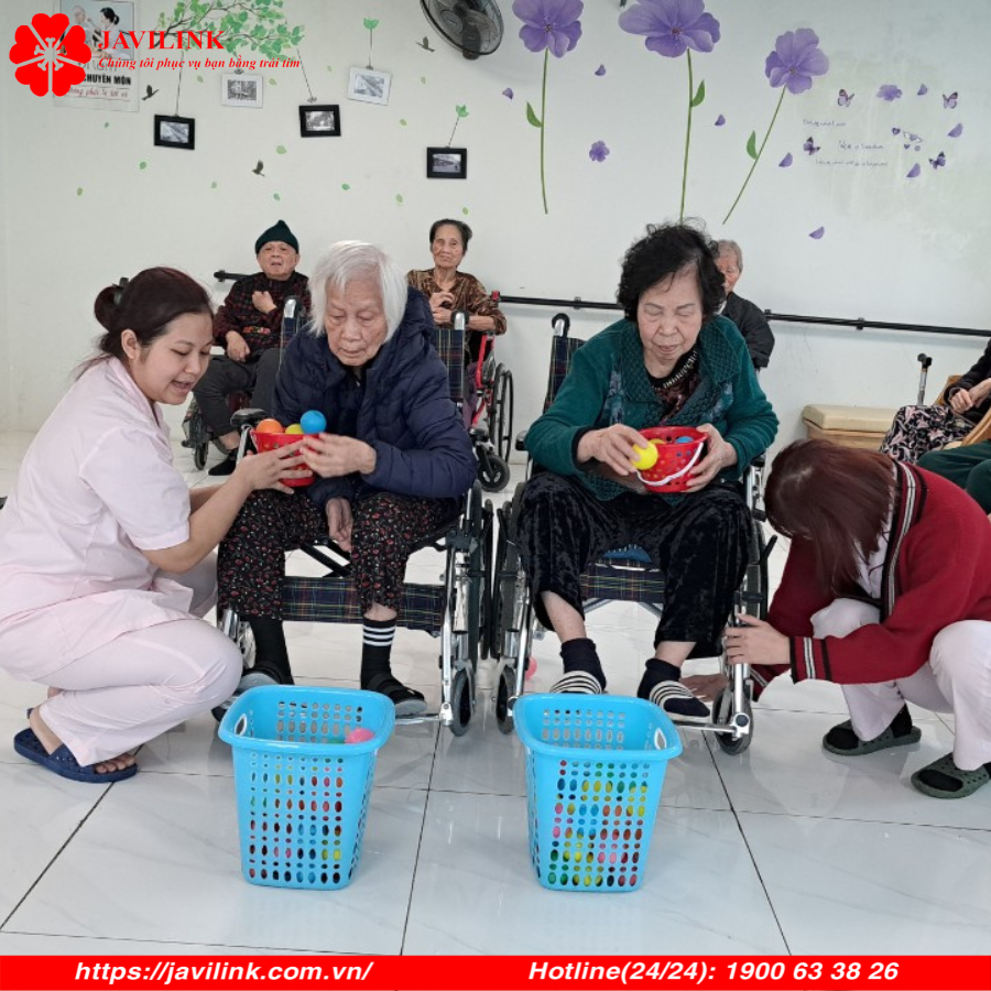 JAVILINK VIỆT NAM 9