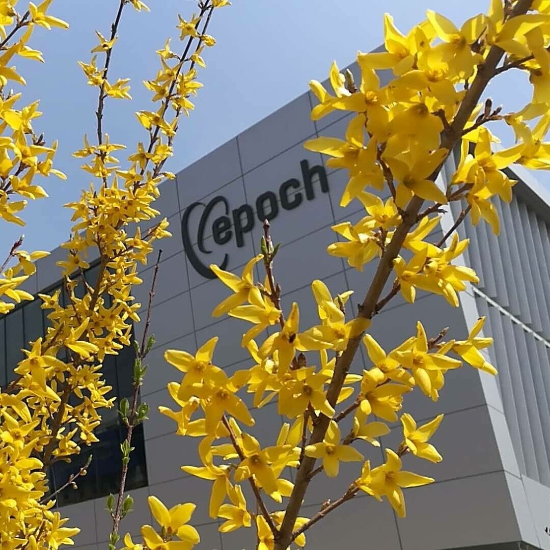 Epoch Technologies (Dalian) Inc. 5