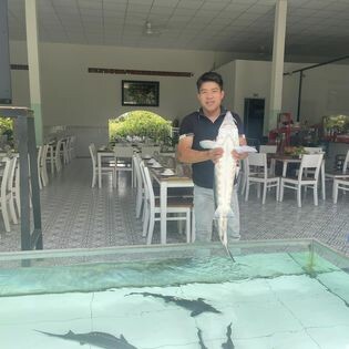 Công ty Cá Tầm BELUGA & CAVIAR NGỌC MINH ANH 1