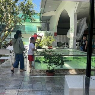 Công ty Cá Tầm BELUGA & CAVIAR NGỌC MINH ANH 3