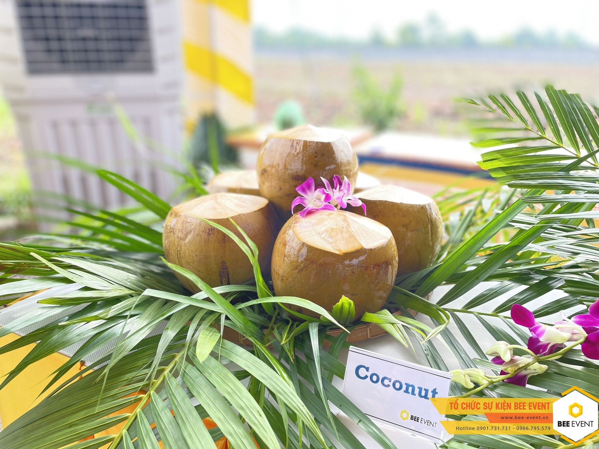 ADVANCED CASTING ASIA 8