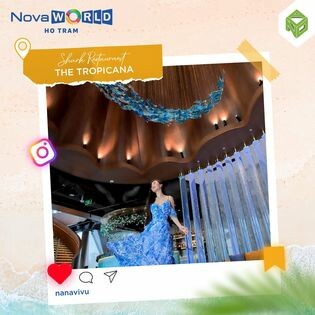 Nova Education Group 3