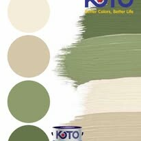 Sơn Koto Việt Nam 12