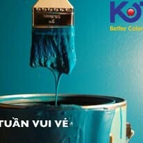 Sơn Koto Việt Nam 13