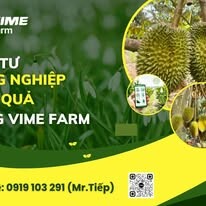 VIME FARM 7