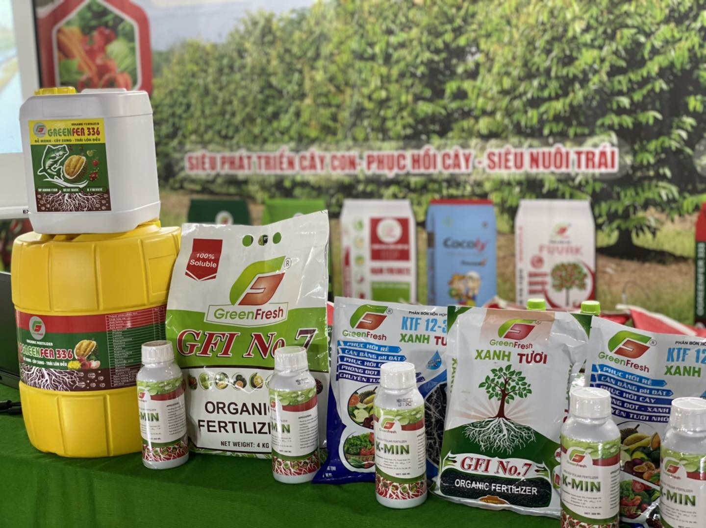 Xuất Nhập khẩu Xanh Tươi 7