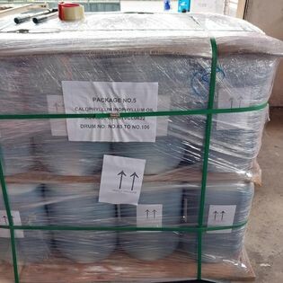 Duc Viet Cargoteam 2