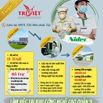 NHÂN LỰC TRÍ VIỆT 3