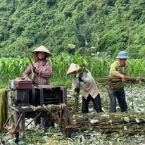 An Phước - Viramie 2