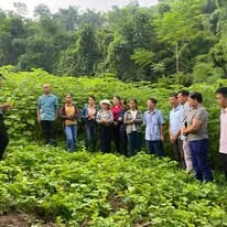 An Phước - Viramie 1