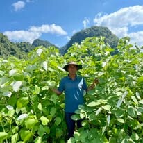 An Phước - Viramie 6