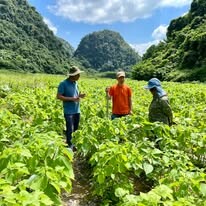 An Phước - Viramie 5