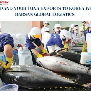 Barsan GLOBAL Logistics 4