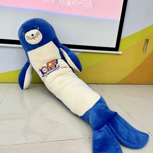 Thức Ăn Chăn Nuôi Rico 5