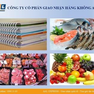 Giao Nhận Hàng Không AAL 9