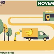 Portever Shipping Việt Nam 8