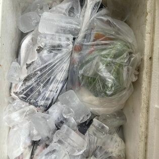 Công ty Cá Tầm BELUGA & CAVIAR NGỌC MINH ANH 6