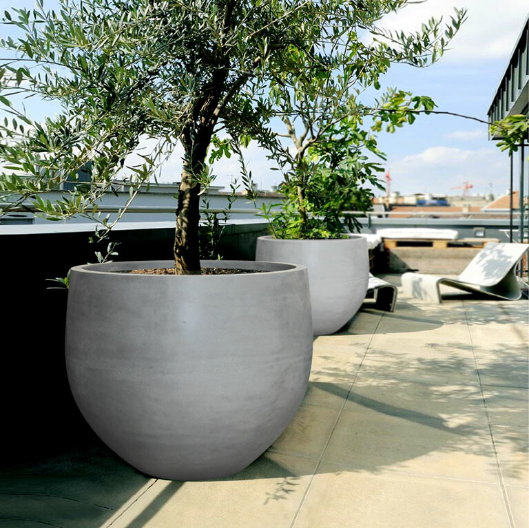 An Cơ Bình Dương 1