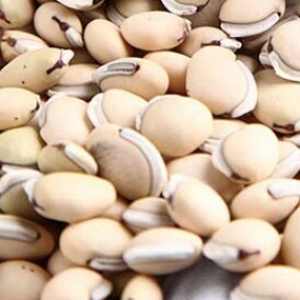 Dược Trung ương Mediplantex 1