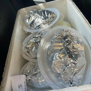 Công ty Cá Tầm BELUGA & CAVIAR NGỌC MINH ANH 7