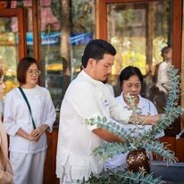 Táo Vàng Holding 5