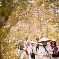 Táo Vàng Holding 1