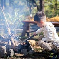 Táo Vàng Holding 6