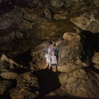 Oxalis Company Limited 1