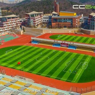 CCGrass Việt Nam 1