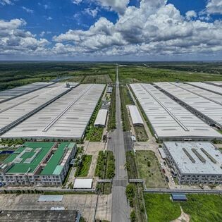 CCGrass Việt Nam 2