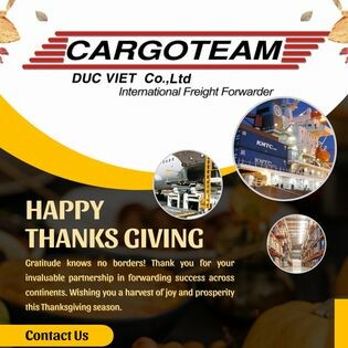 Duc Viet Cargoteam 4