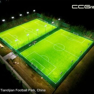 CCGrass Việt Nam 3