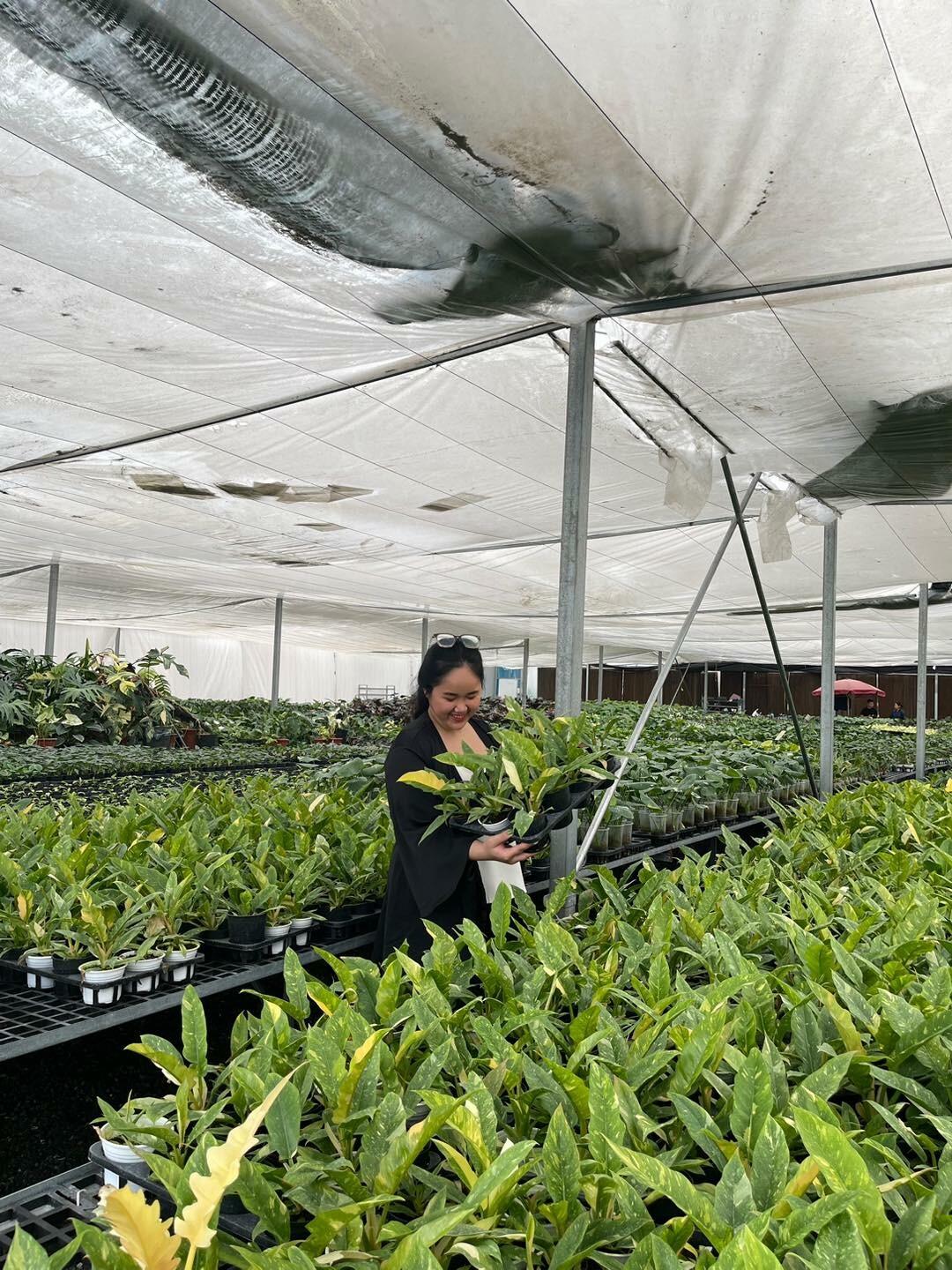 Xanh Xanh Urban Forest 9