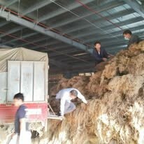 An Phước - Viramie 8