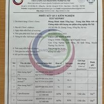 Thực Phẩm Organic Green 2