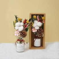 On-Gift Việt Nam 4