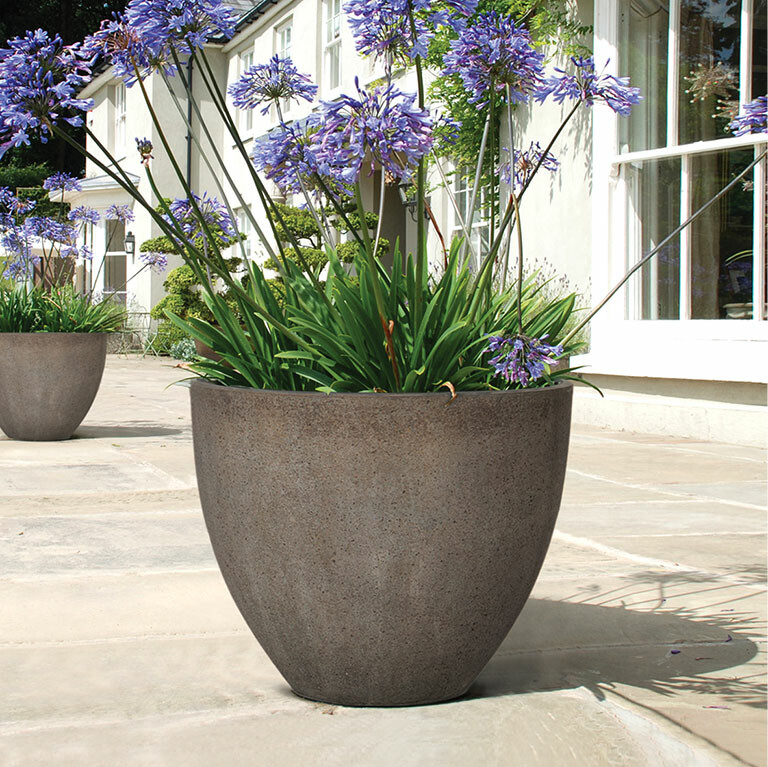 An Cơ Bình Dương 2