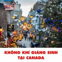 Kết Nối Giáo Dục Trẻ Canada - YECC 1