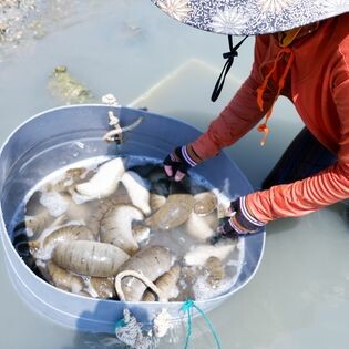 CÔNG TY CỔ PHẦN ĐẦU TƯ TẬP ĐOÀN KLC 3