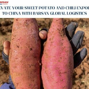 Barsan GLOBAL Logistics 8