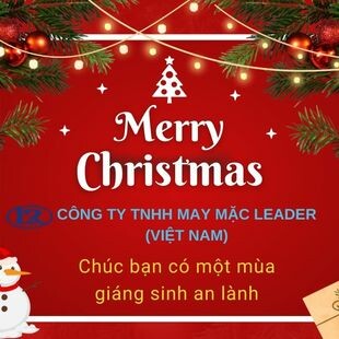 May Mặc Leader (Việt Nam) 8