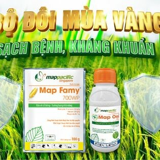 Map Pacific Singapore 5