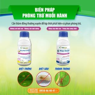 Map Pacific Singapore 8