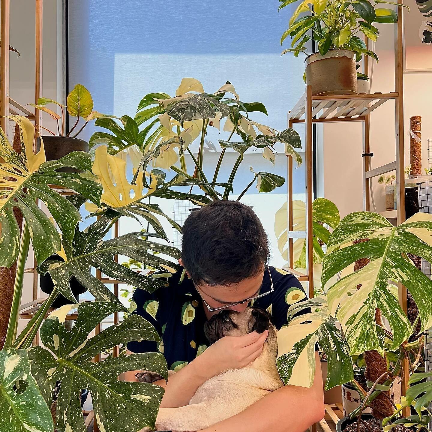 Xanh Xanh Urban Forest 6