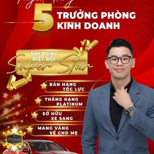 Đầu tư Và Phát triển Bất động sản VISION REALTY 9