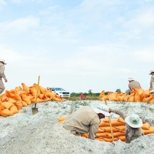 Norwegian People’S Aid (NPA) 2