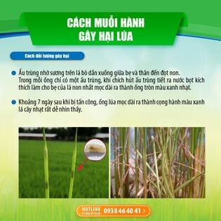 Map Pacific Singapore 7