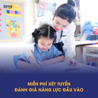 Trường Mầm non - Tiểu học Ban Mai 8